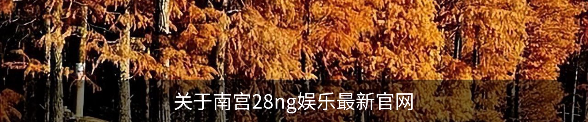关于南宫28ng娱乐最新官网